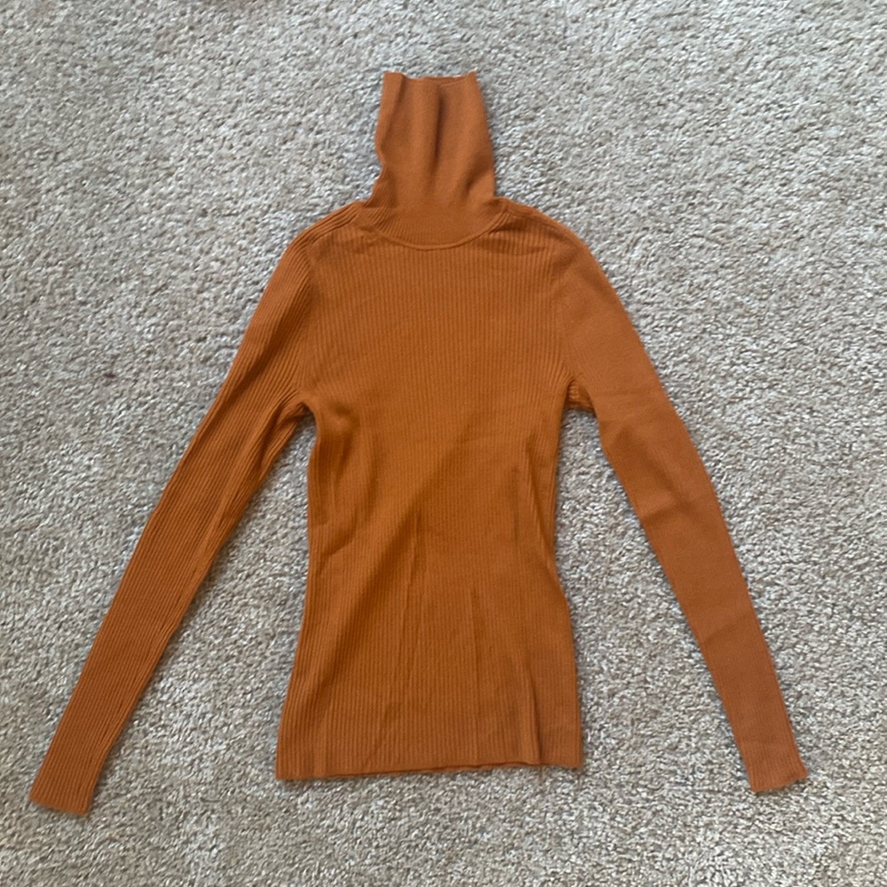 Everlane Wool Turtleneck Sweater